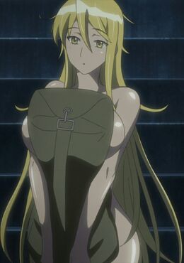 Highschool Of The Dead Naked